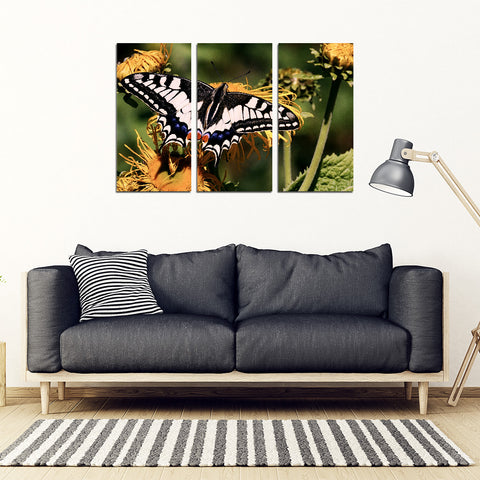 Butterfly 3 Piece Framed Canvas